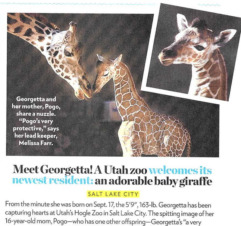 Illustration for article titled This Week in Tabloids: …Caitlyn Jenner Wants to Adopt Paris Jackson??!!